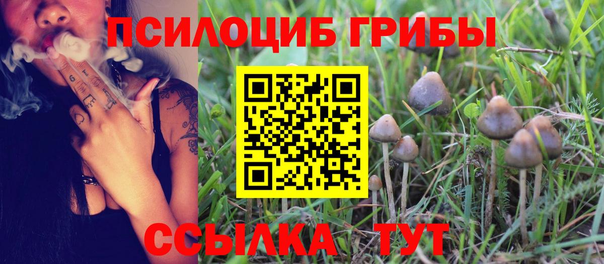 Десногорск  Псилоцибиновые грибы MAGIC MUSHROOMS  Вход с VPN 
