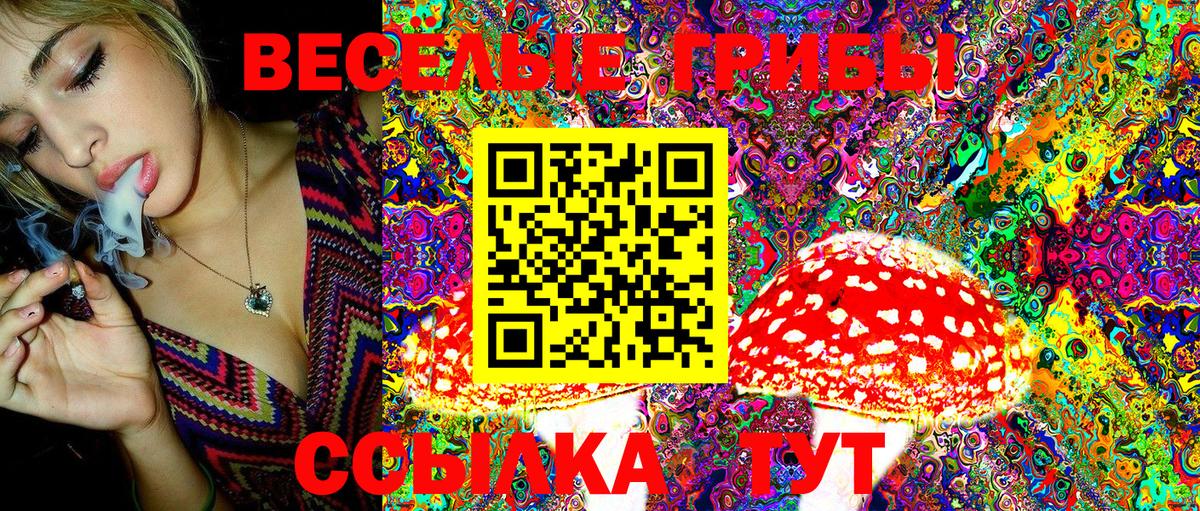 Галлюциногенные грибы Magic Shrooms Десногорск